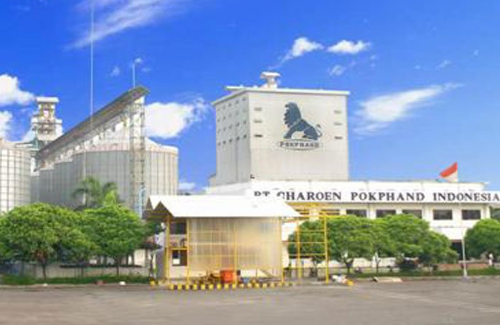 PT Charoen Pokphand Indonesia, Perusahaan Pakan Ternak Indonesia
