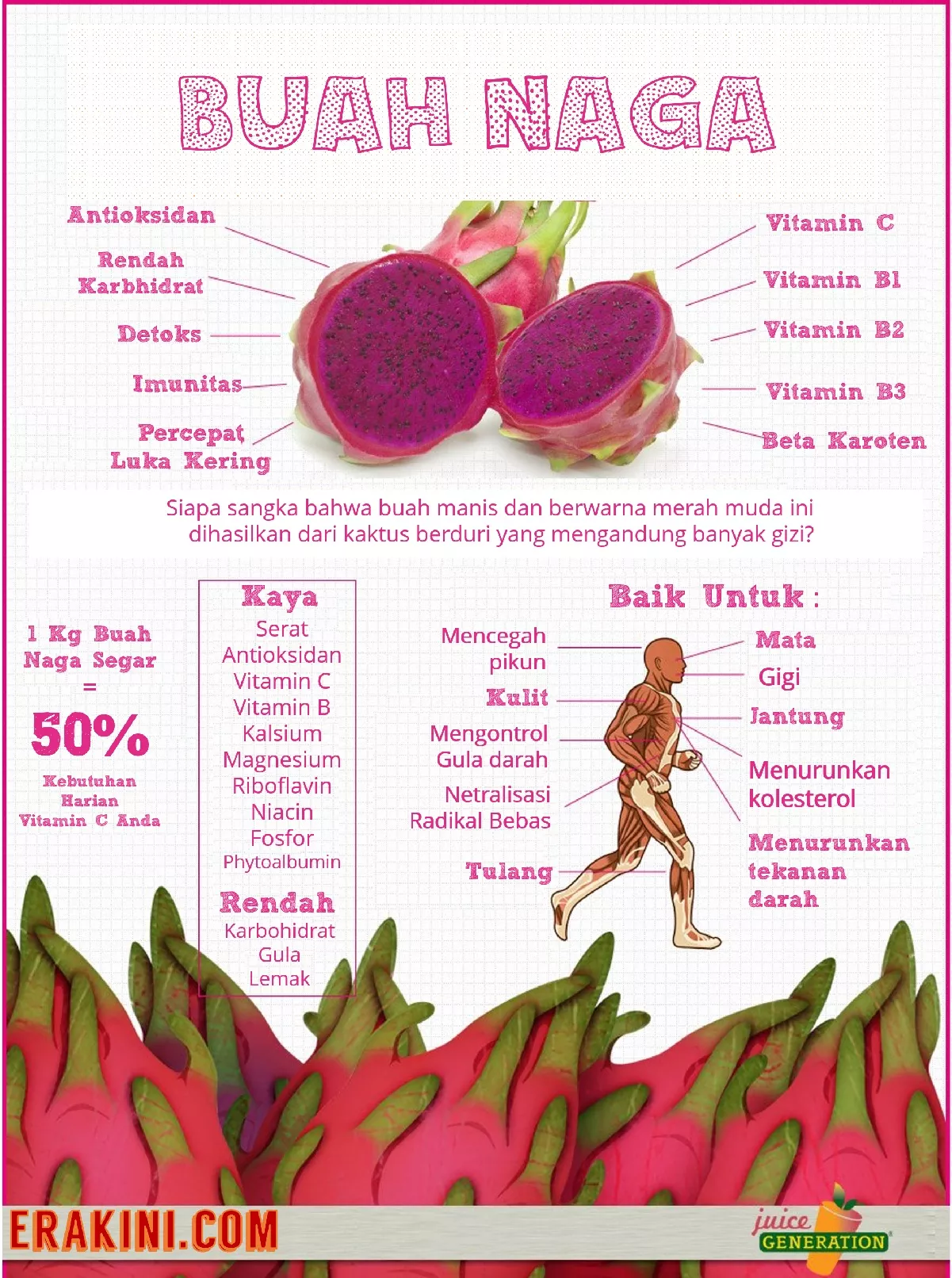 manfaat buah naga merah