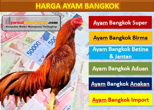 Harga Ayam Bangkok