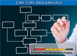 Características organizacionais