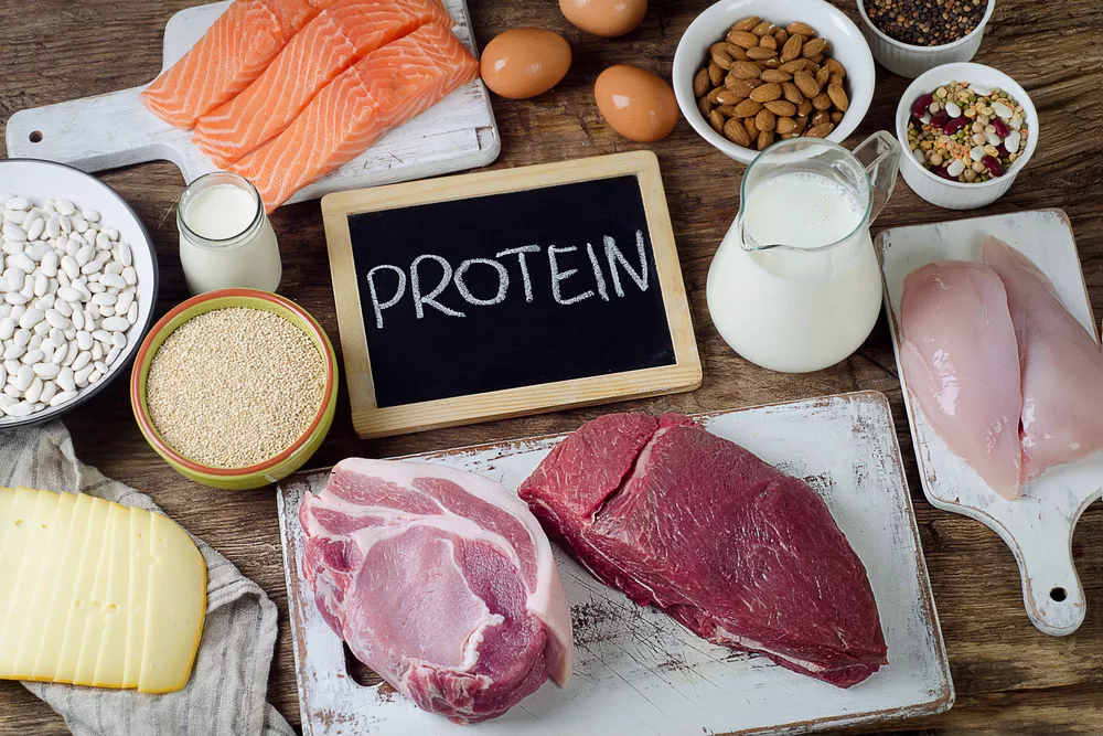 makanan yang mengandung protein