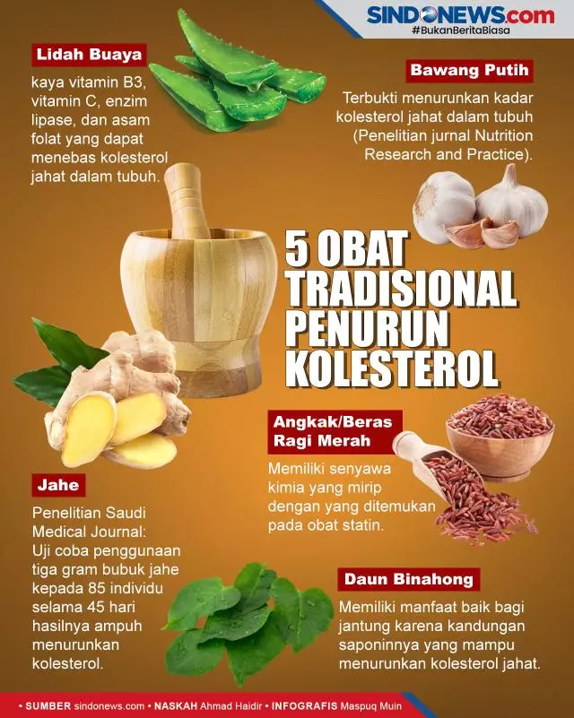 obat kolesterol alami tradisional