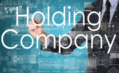 Holding Company Adalah : Pengertian Hingga Contohnya!