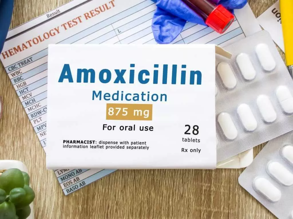 efek samping amoxicillin